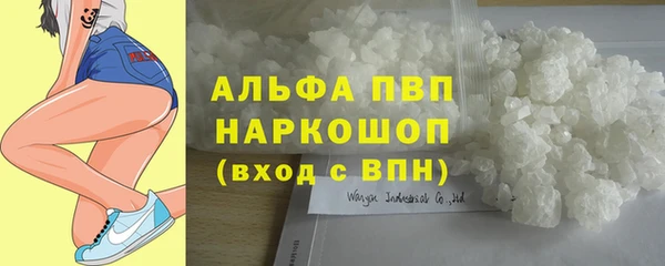 крисы Алзамай