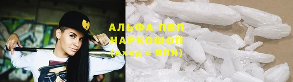 крисы Алзамай