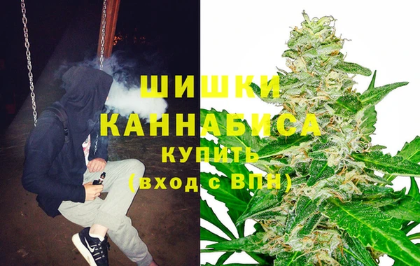 крисы Алзамай