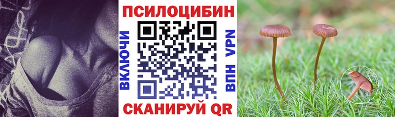 Галлюциногенные грибы Magic Shrooms  купить наркотики сайты  kraken как зайти  Мичуринск 
